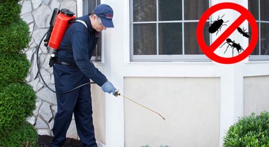 Gökdere Hamam Böceği İlaçlama böcek ilaçlama ve haşere kontrolü — ilaclama-tr.com